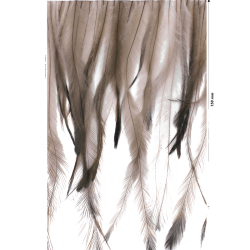 Fleco plumas Emú